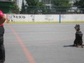 /album/mdd-2012/p1010131-jpg2/